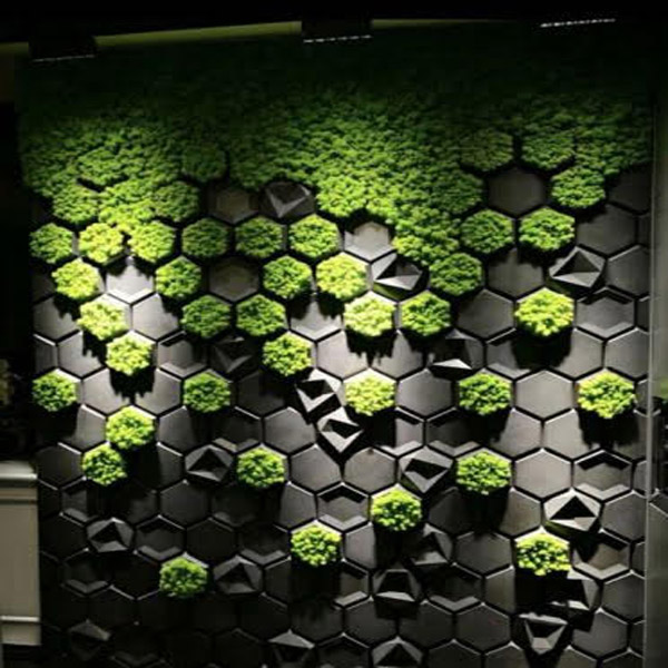 eco-D1 eco-D1